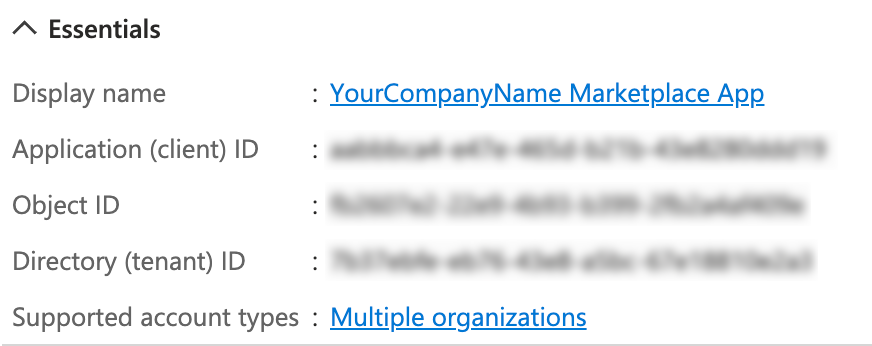Azure app registration — Overview with client and tenant IDs